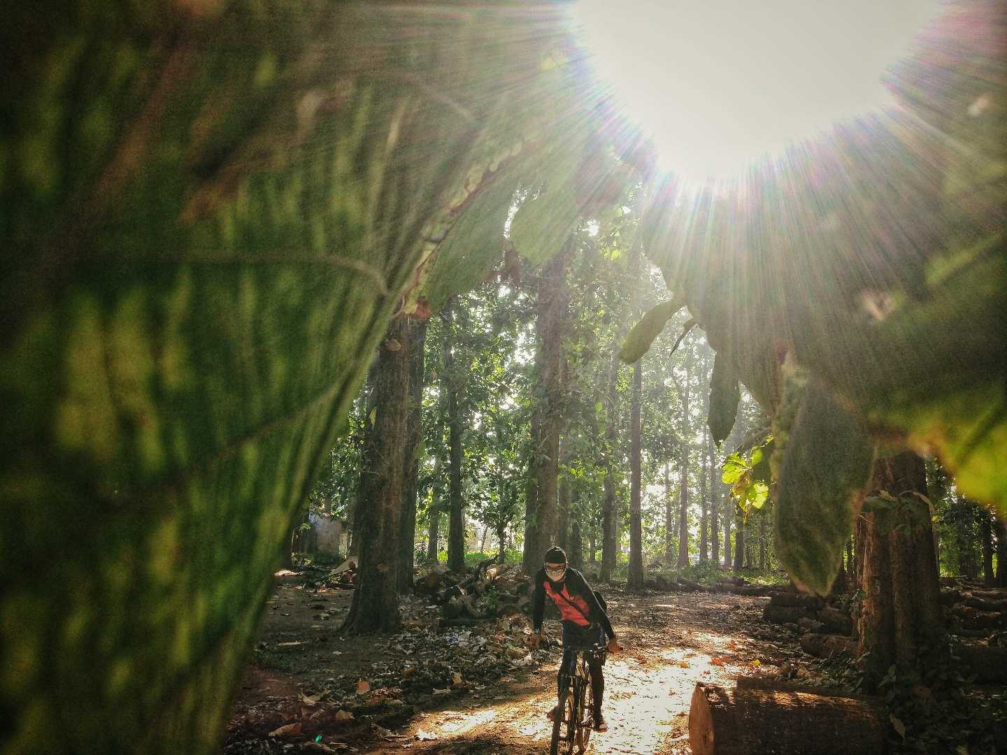 cycling