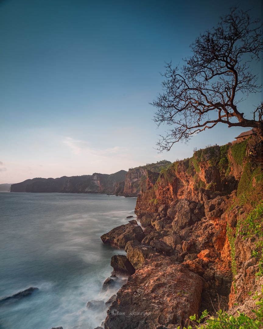 iconic tree at kesirat beach