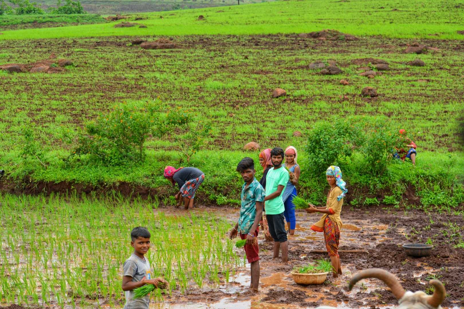 Village Life