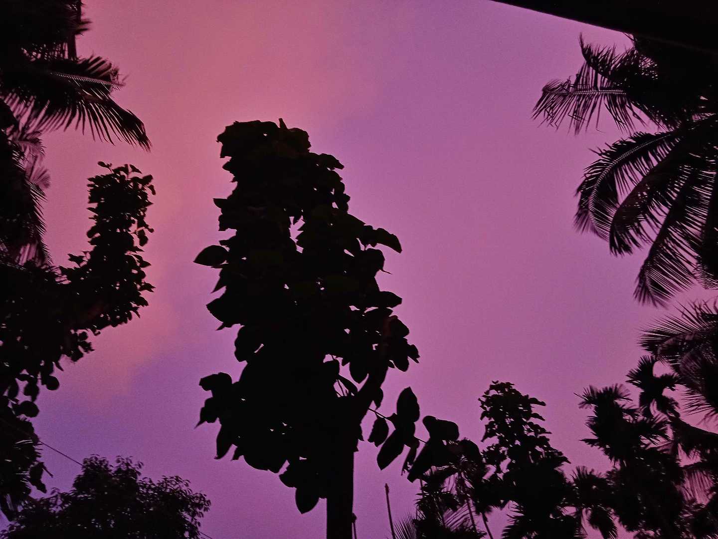 Sunset 🌆 