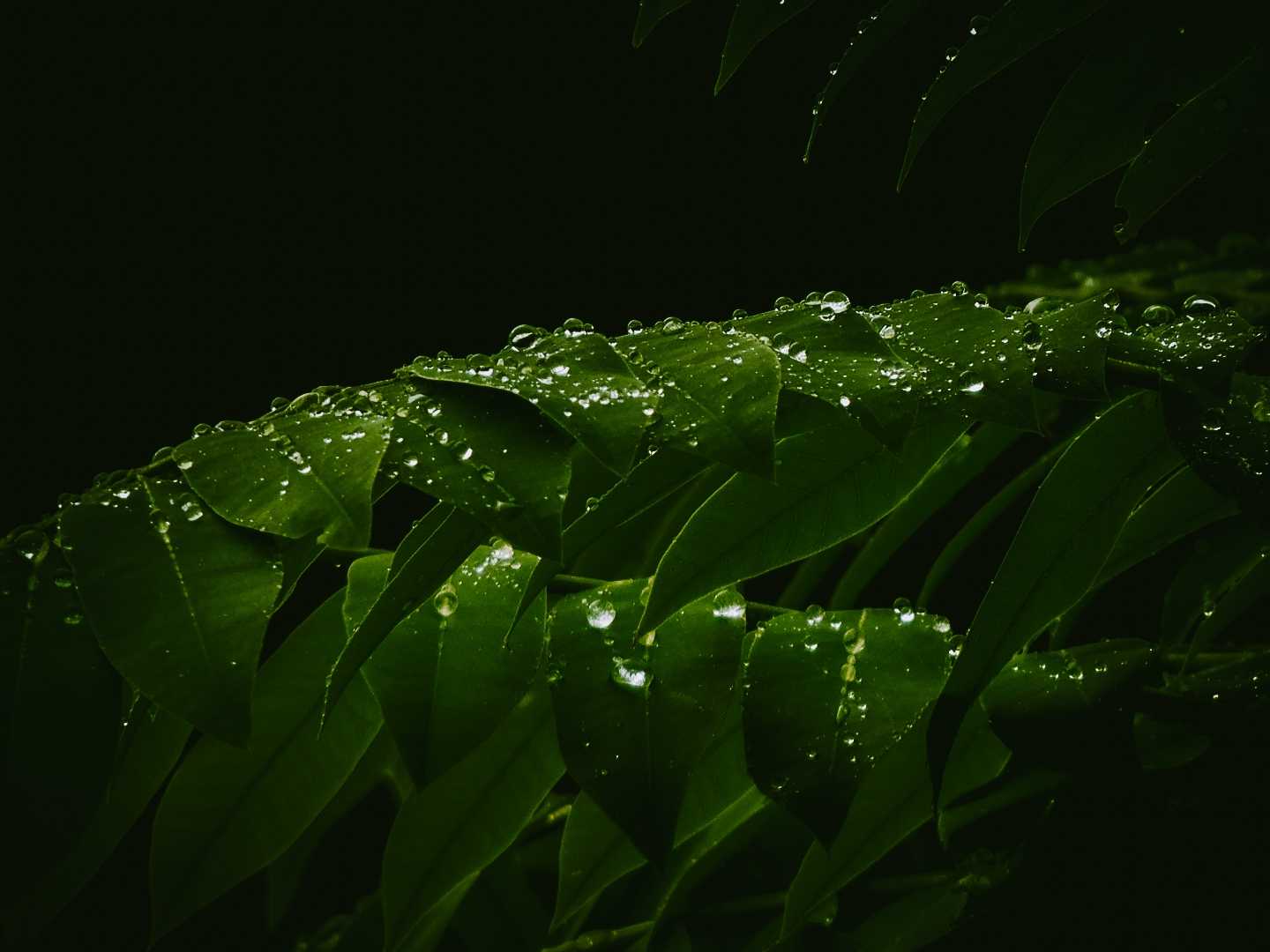 Droping hope