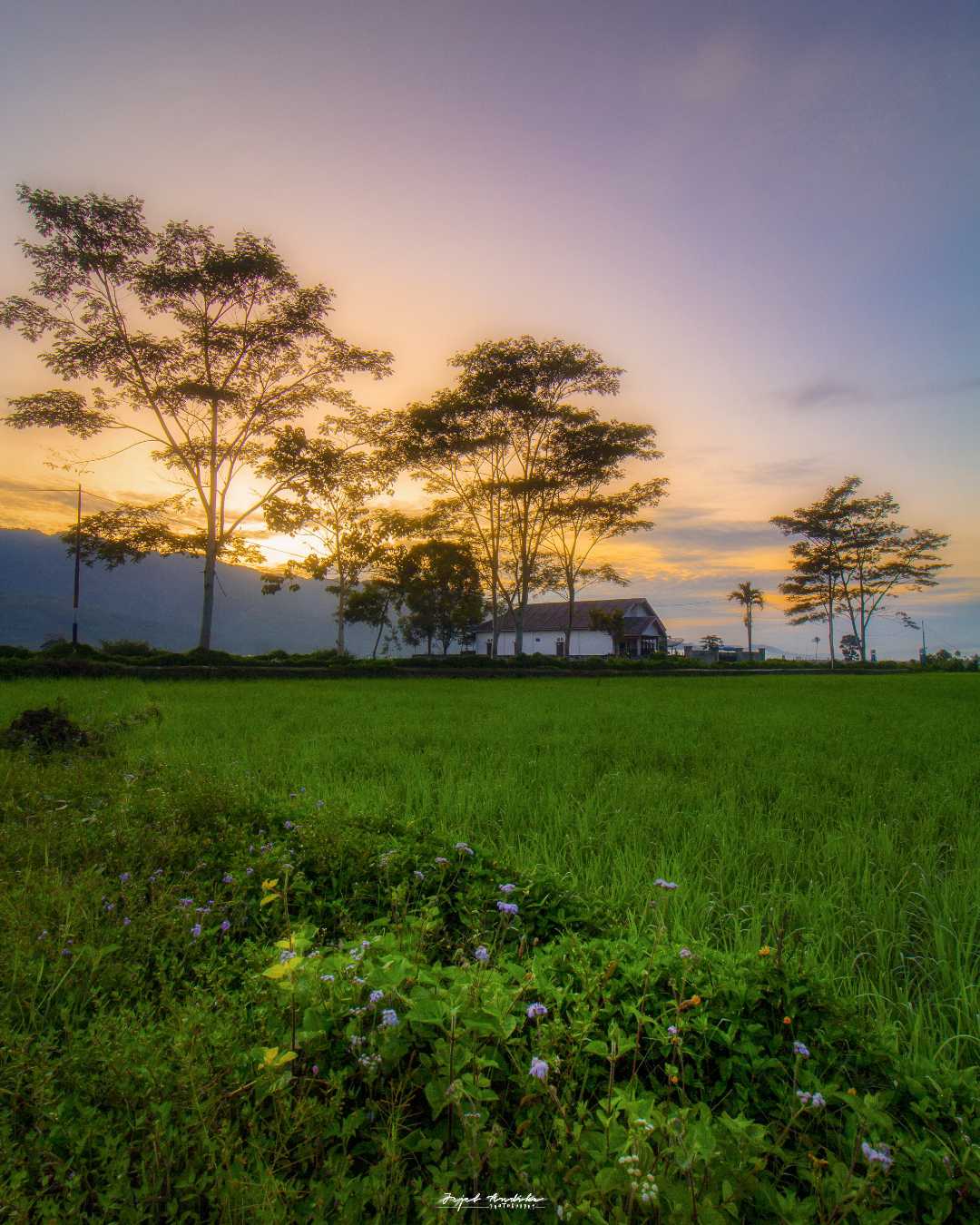 sunrise