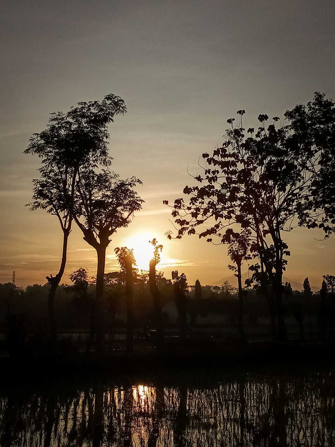 sunrise / arunika