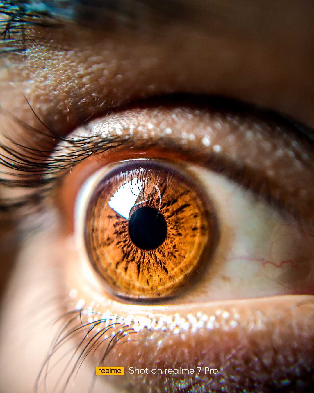 Human Eye