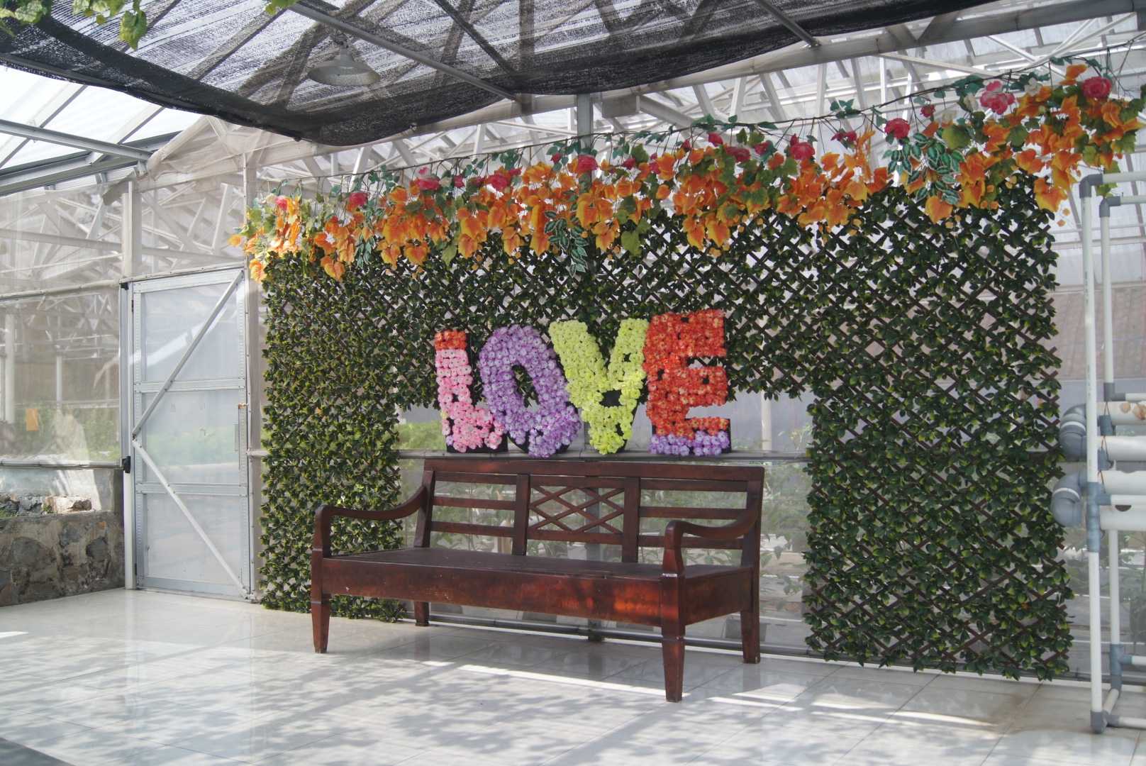 dekorasi taman