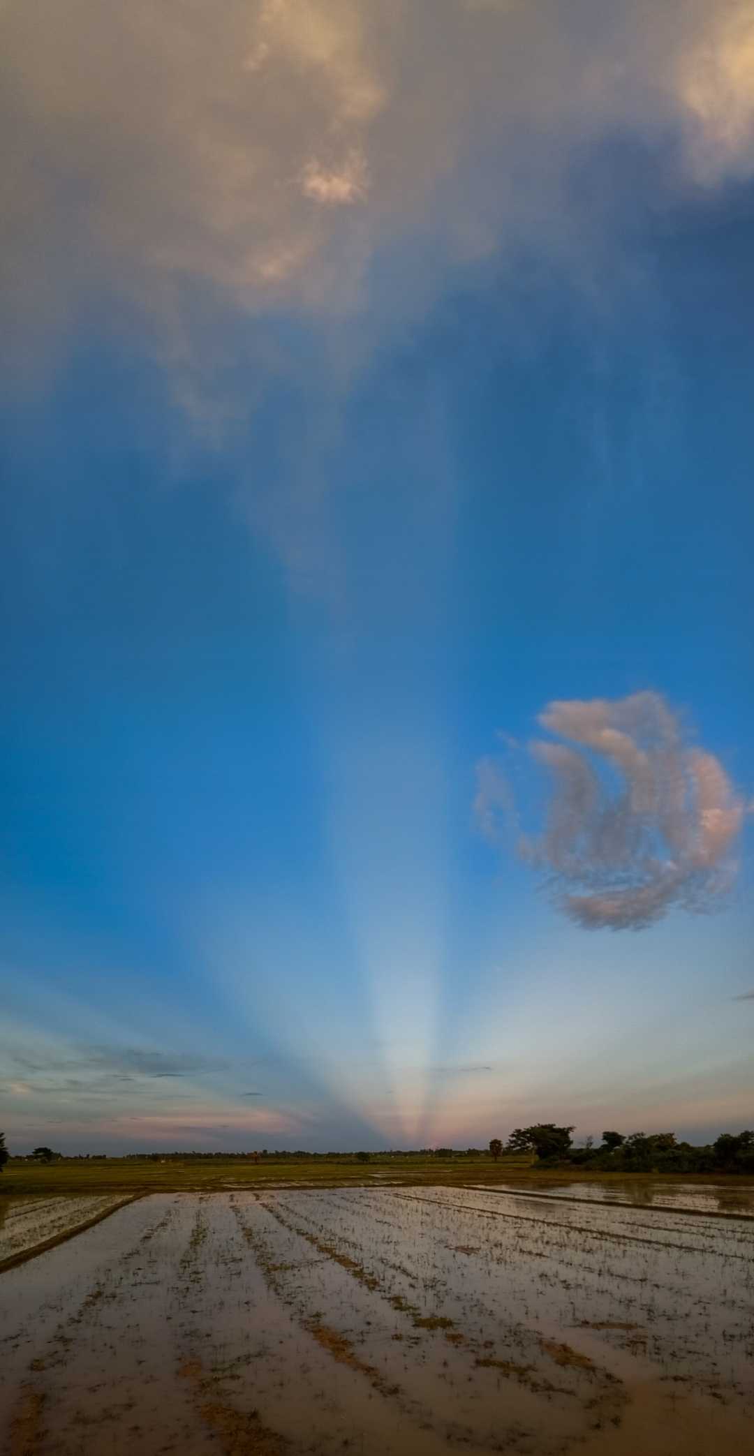 Magical rays...