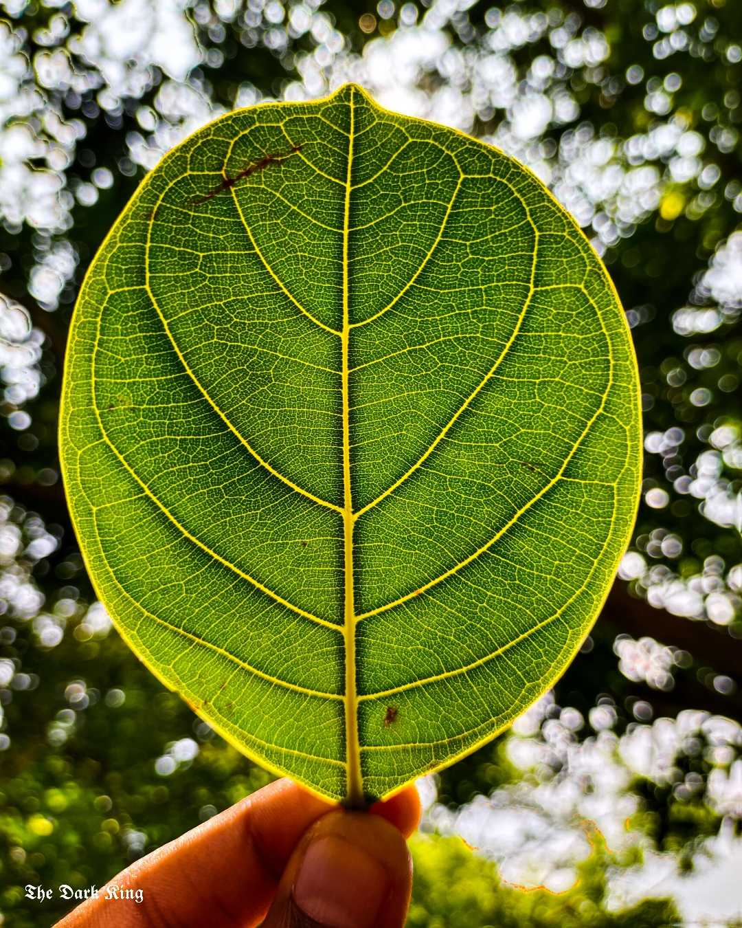 🌱🌱🌱🌱