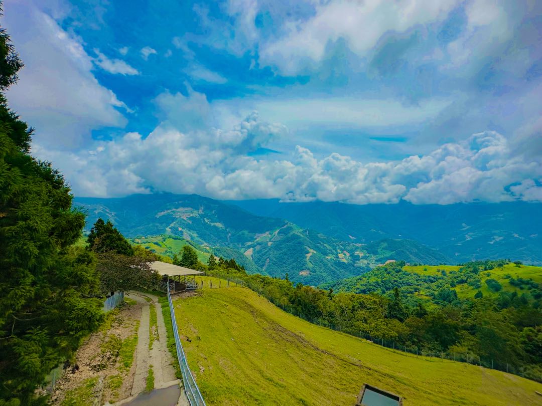 View in skywalk