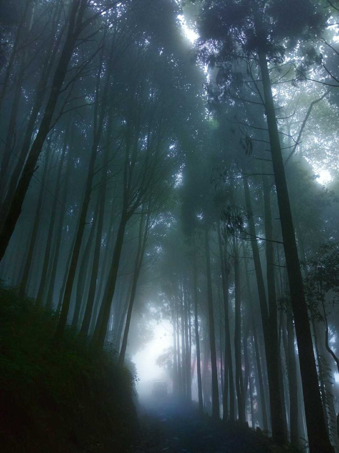 Beauty of Nature
