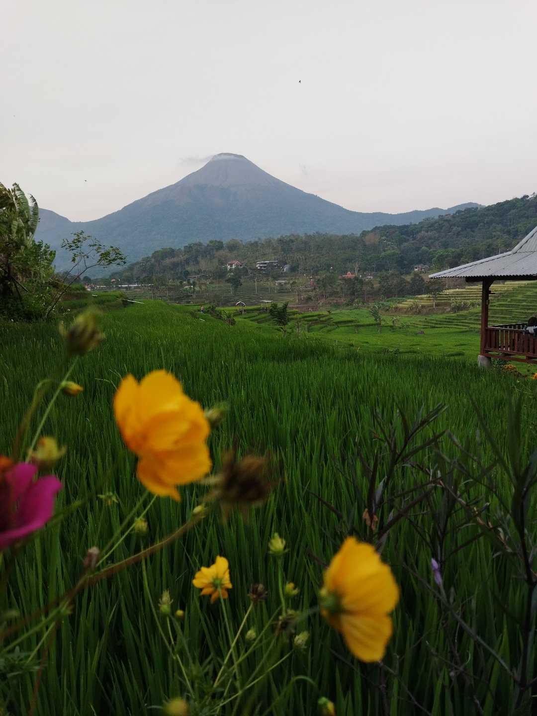 Cafe Cantik di Trawas