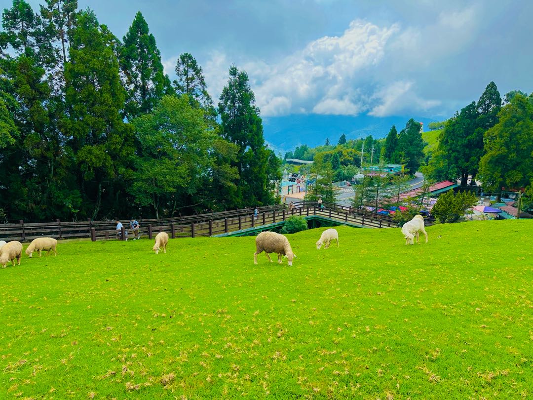 📍Qingjing Farm