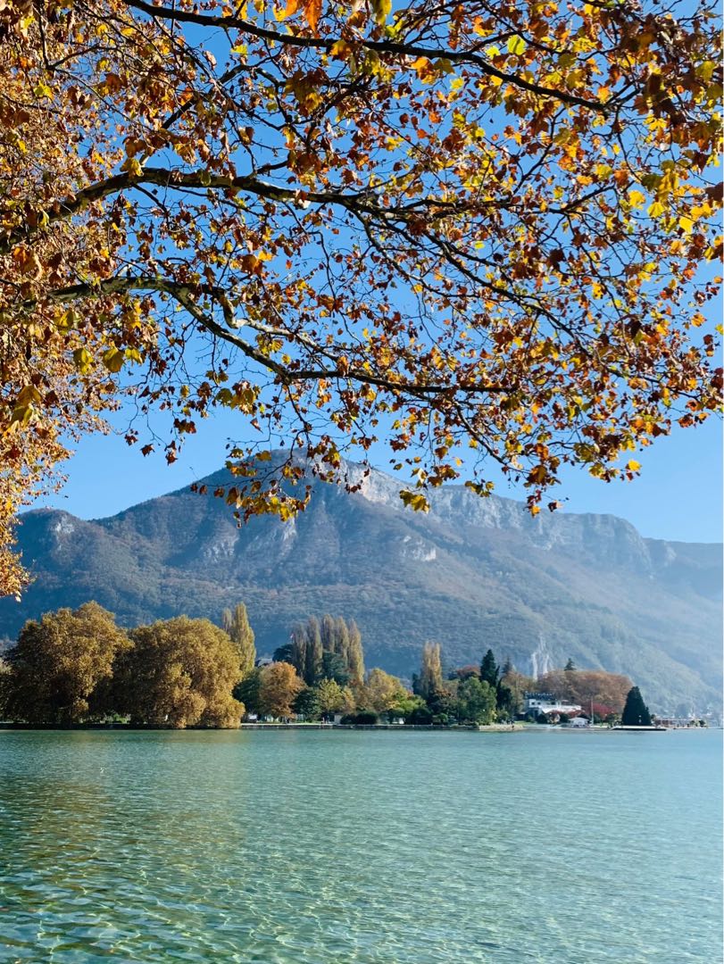 Lake and leaves