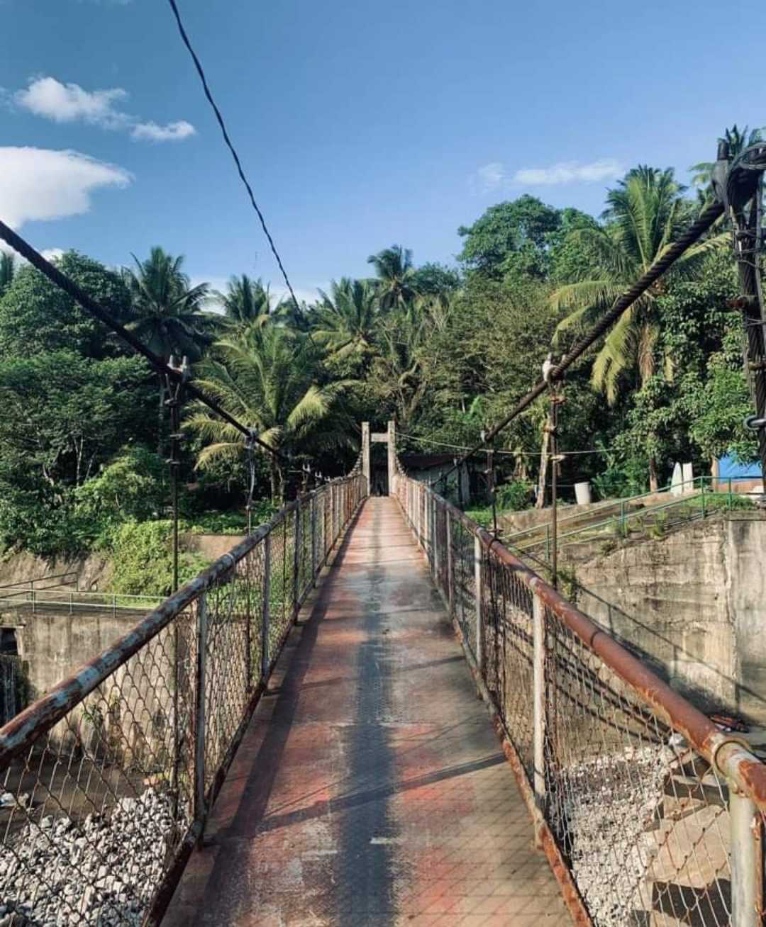 Usad sana