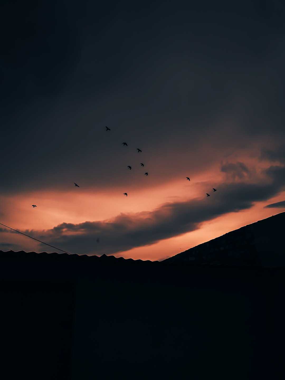 Let your dreams fly❤️