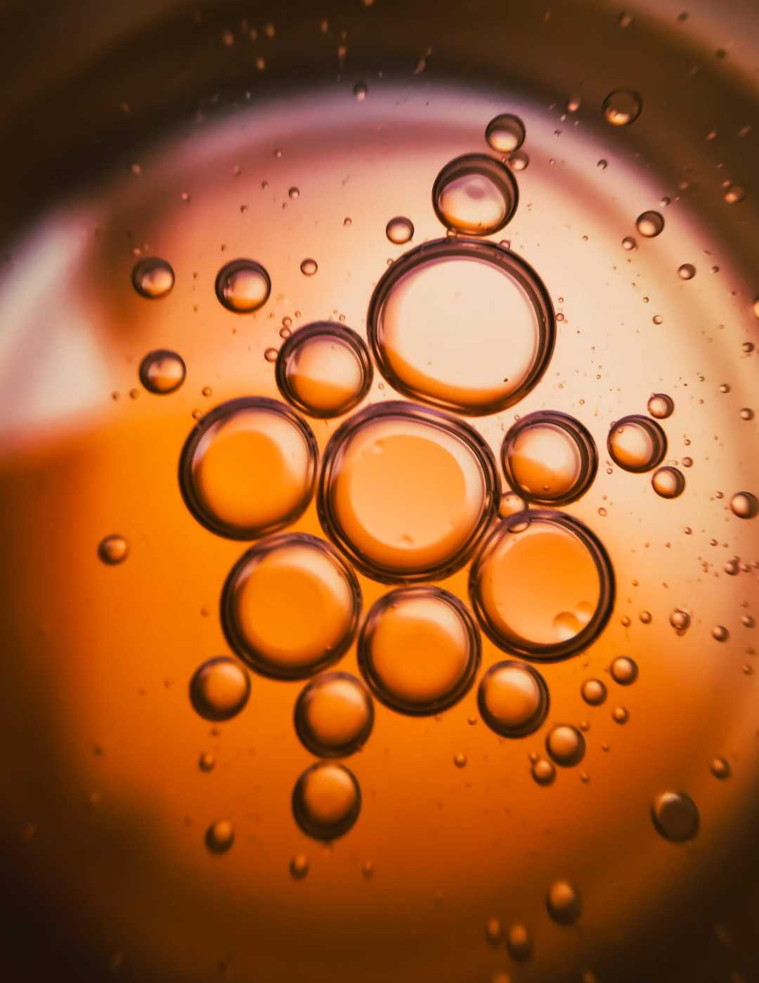 MACRO PHOTOGRAPHY 