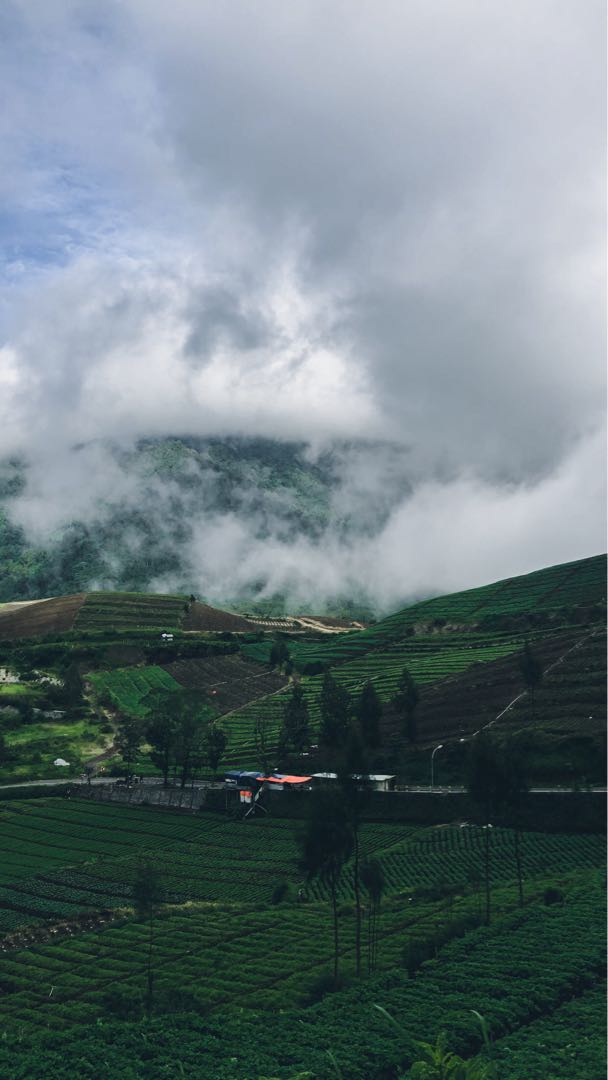 Green Hill view 