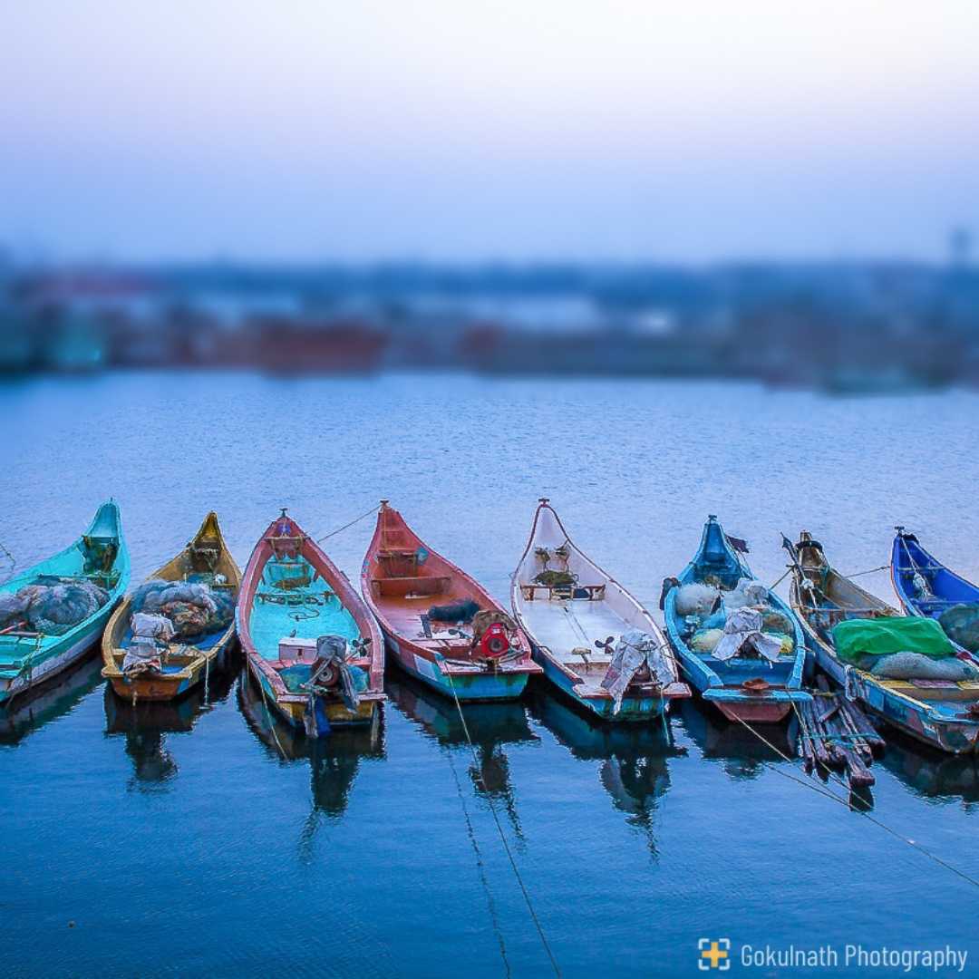 The Blue Series