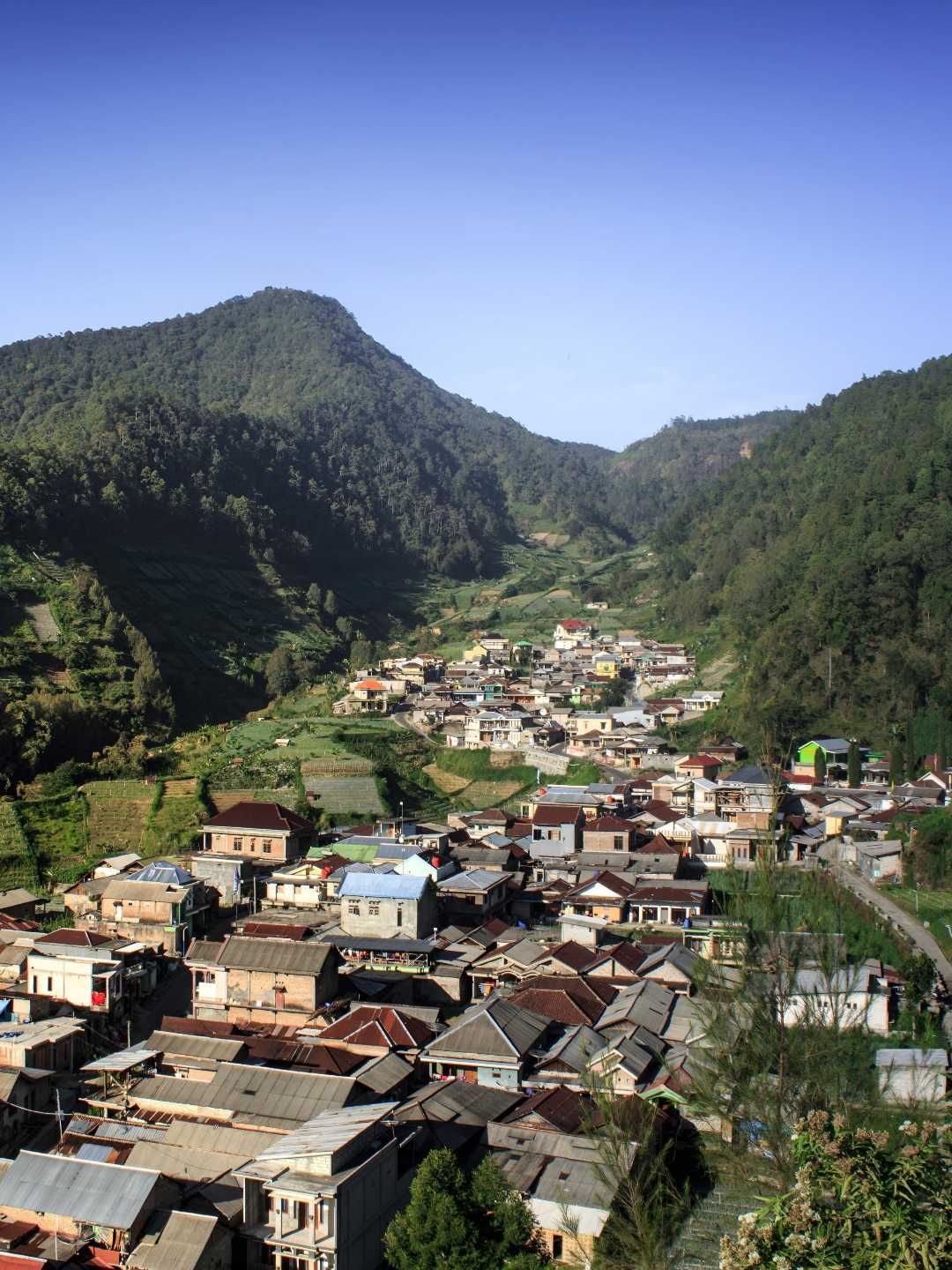 Wisata Wonomulyo