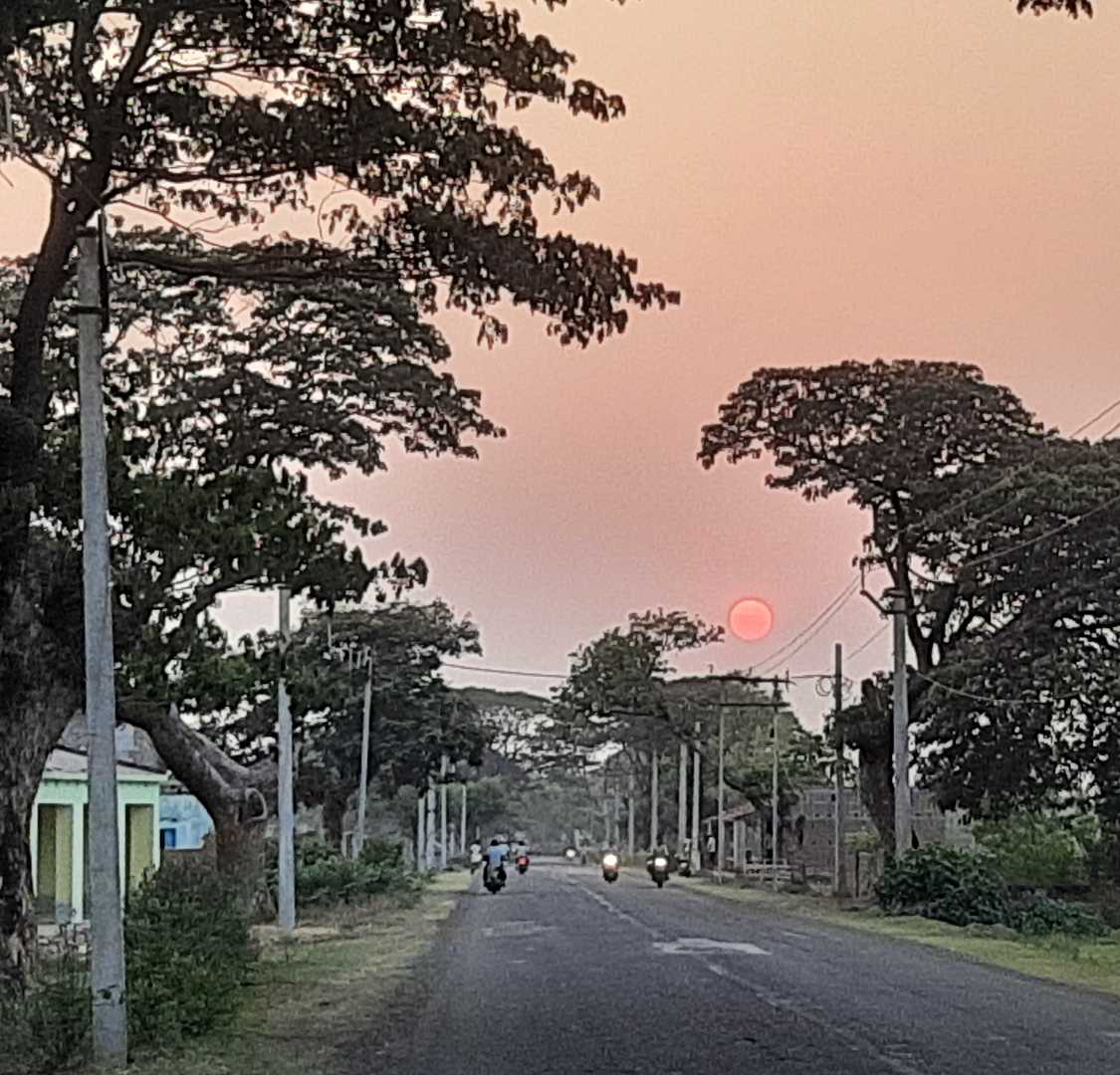 The Sunset
