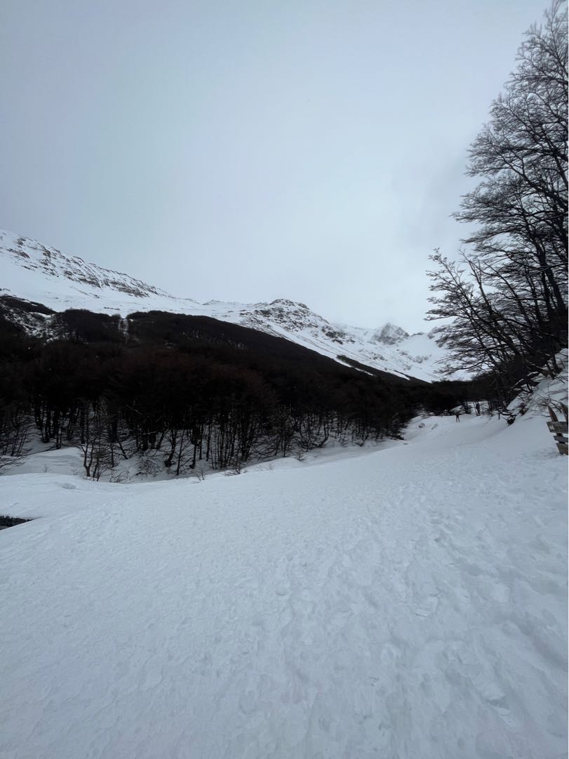 Glaciar Martial 