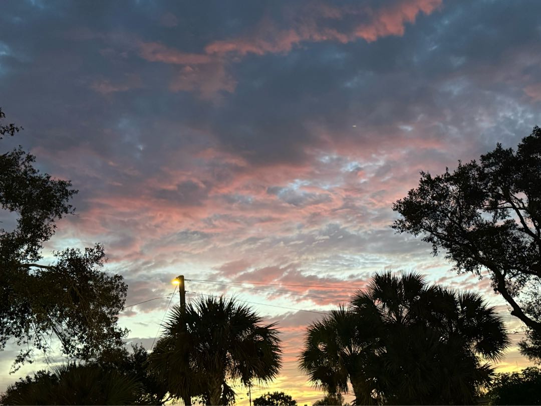 Florida Amanecer