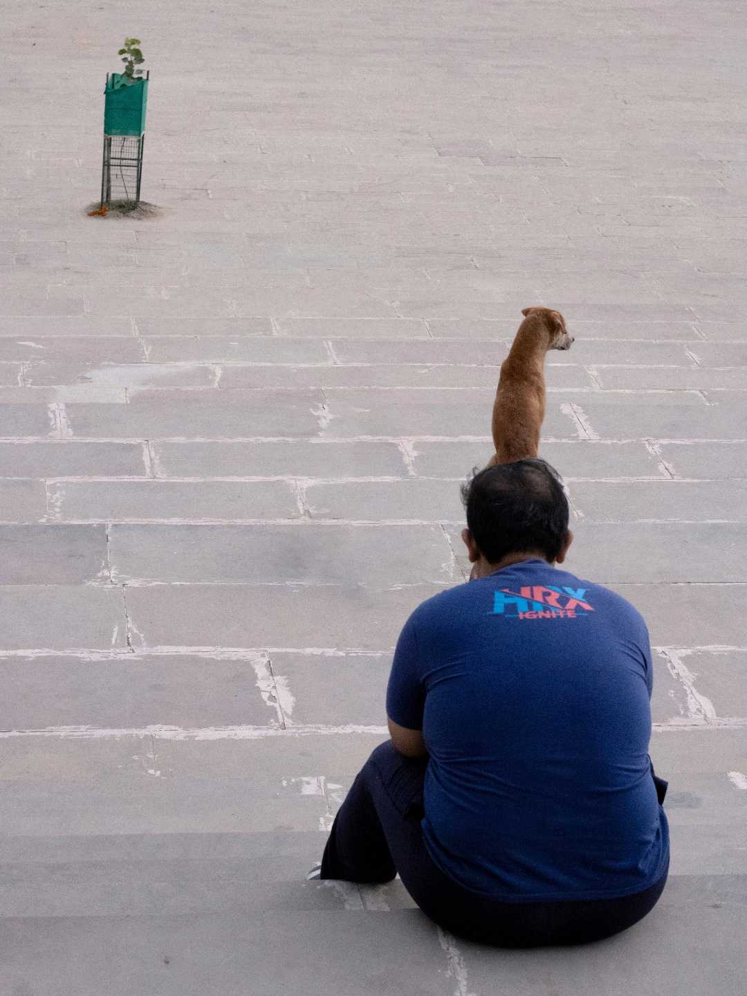Street Perspective 