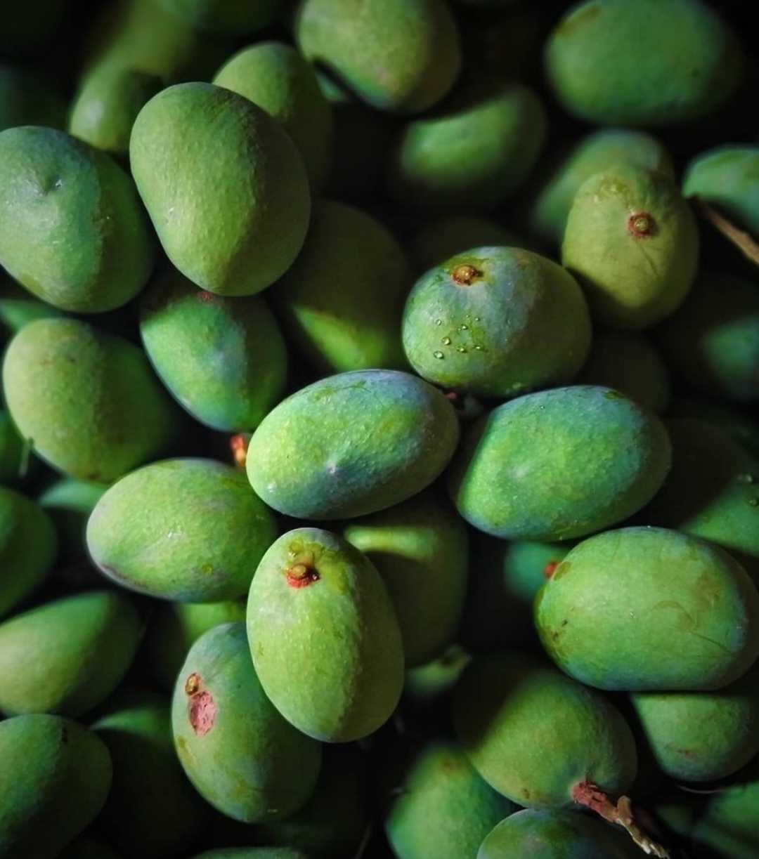 🥭