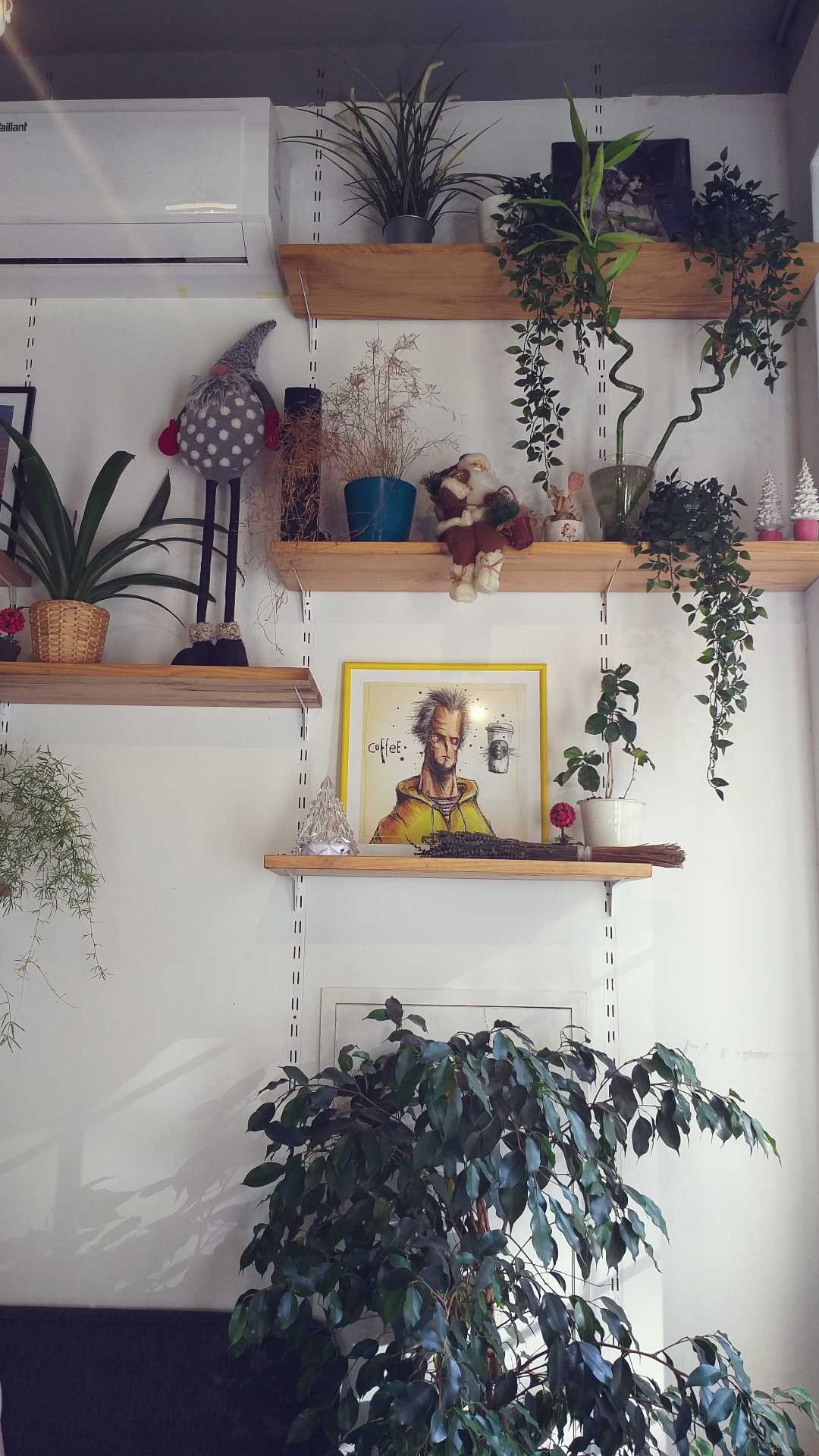 beautiful cafes 