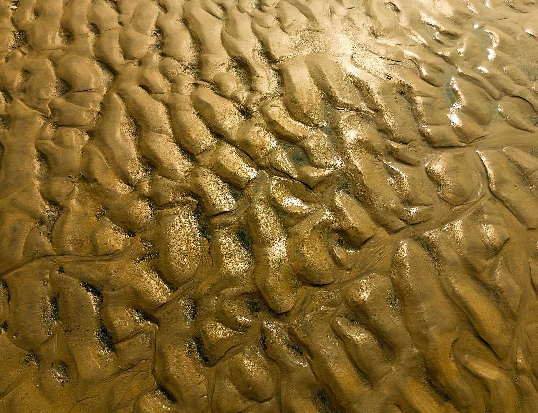 Abstract Photography