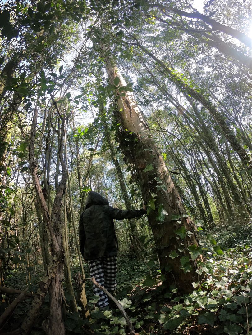 Parque Pereyra Iraola 