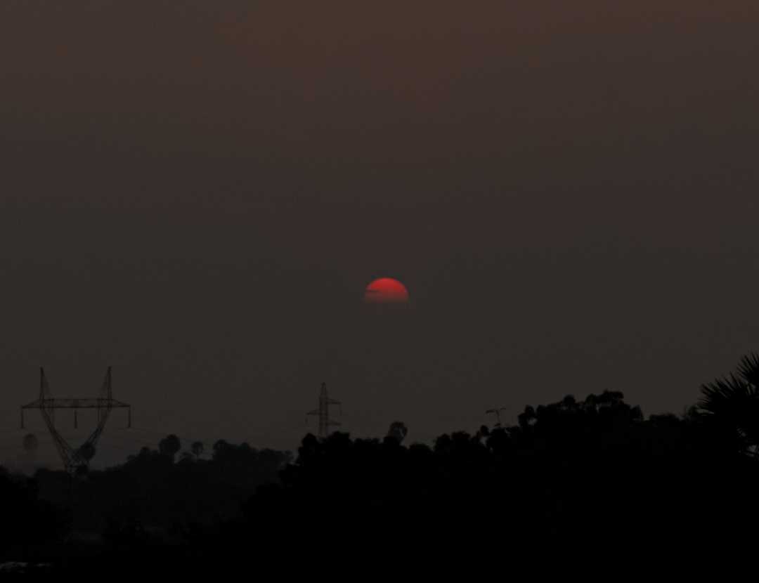 Redsun🌞