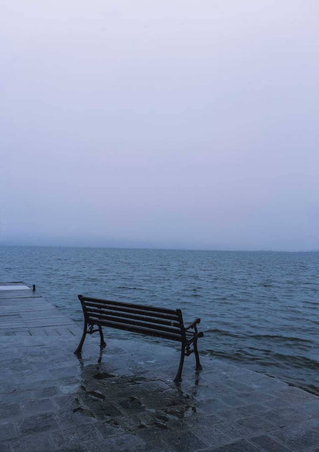 Solitude 