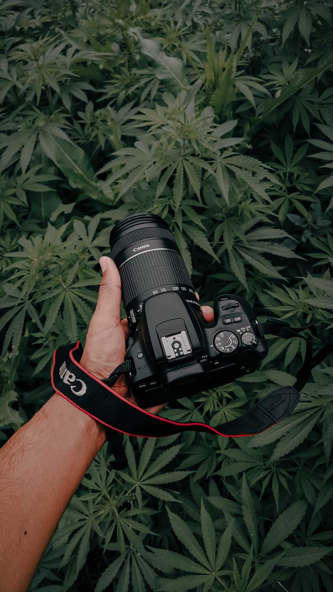 canon 200D 