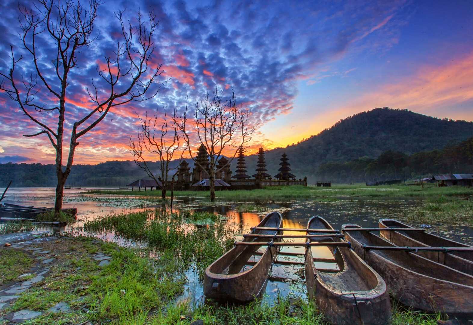 Vibrant Morning