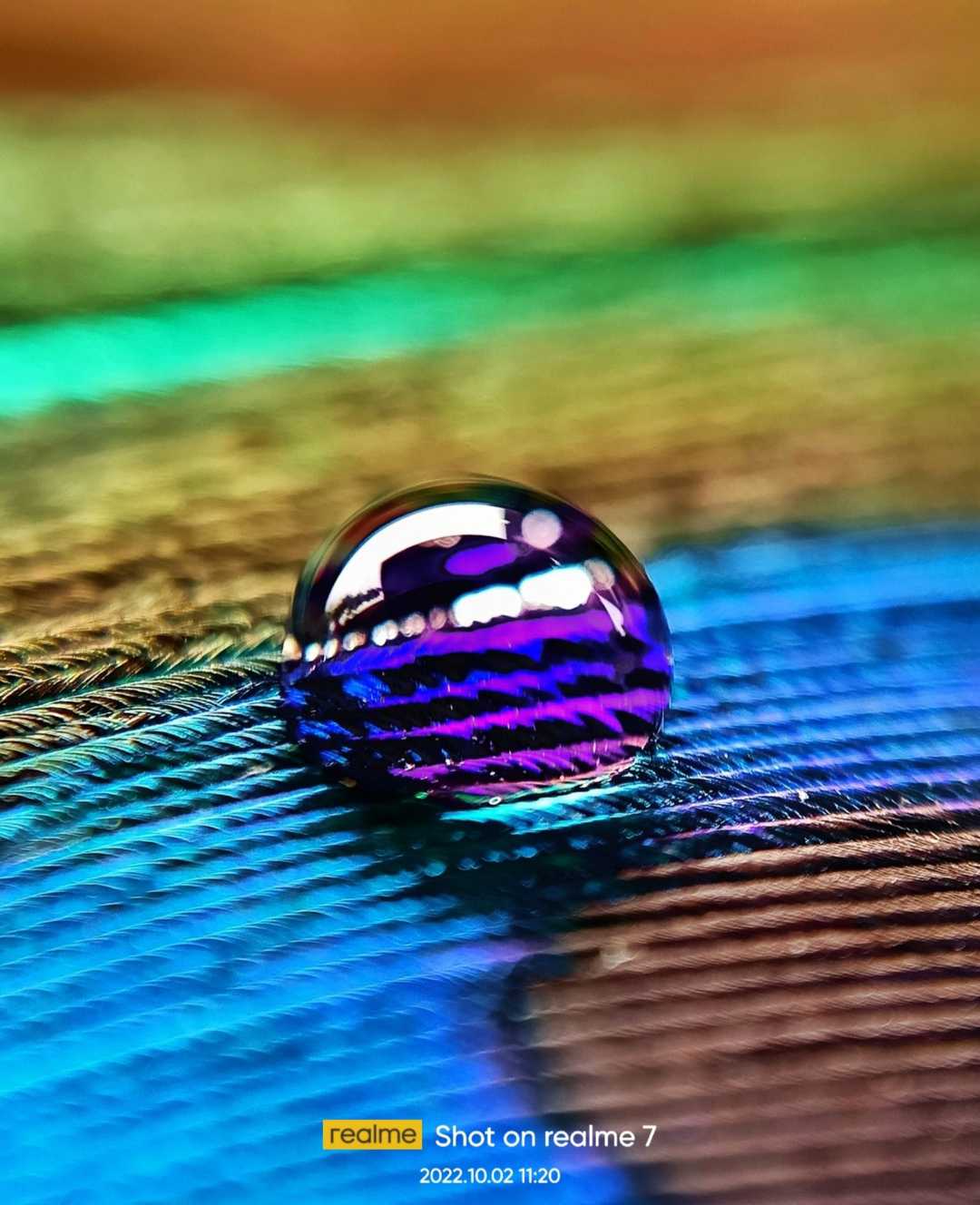 Macro 