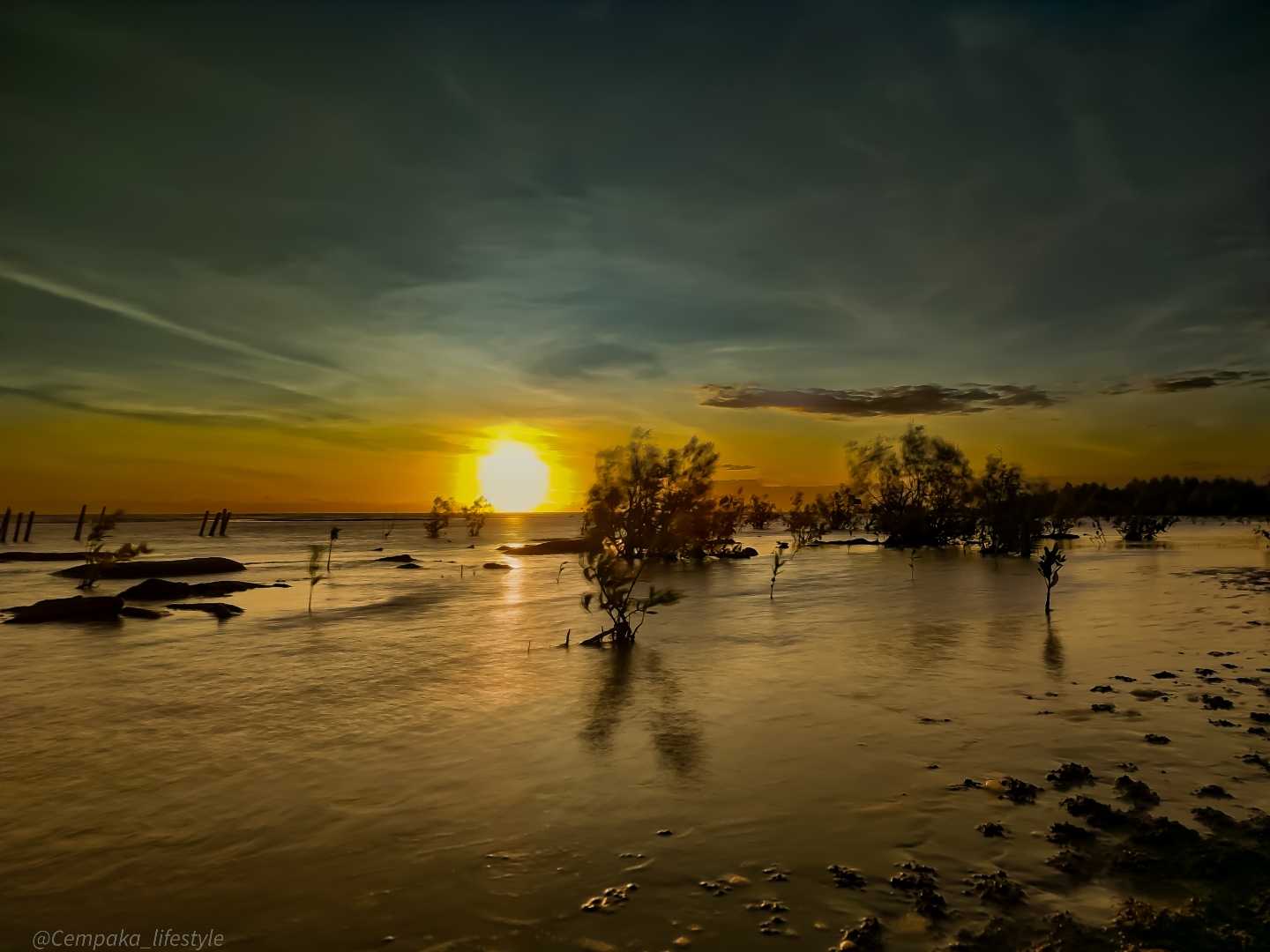 Taman Bakau