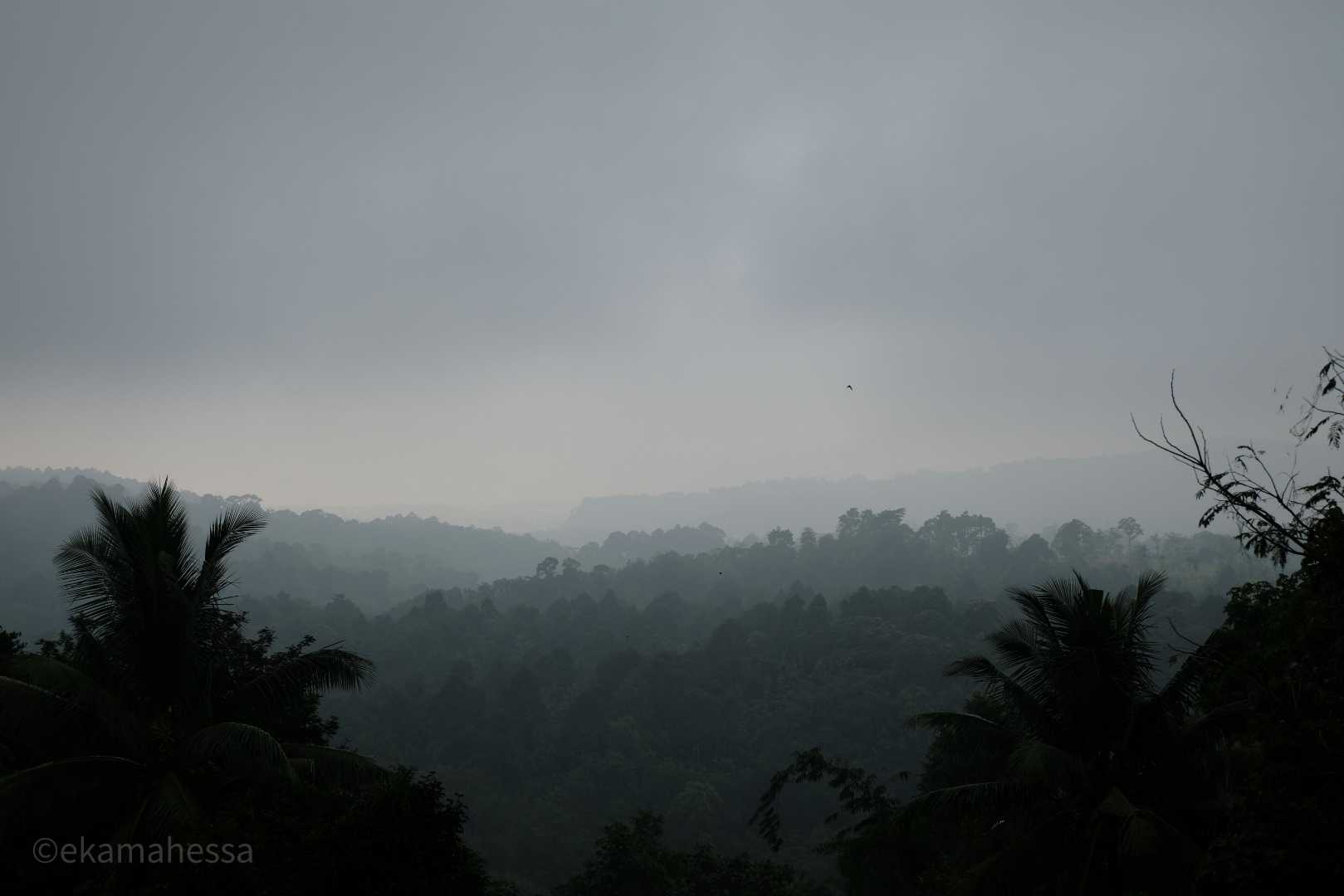 pemandangan dari Vila Kedaung Home stay