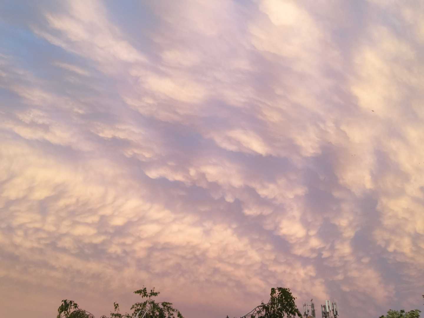 Pink and blue sky