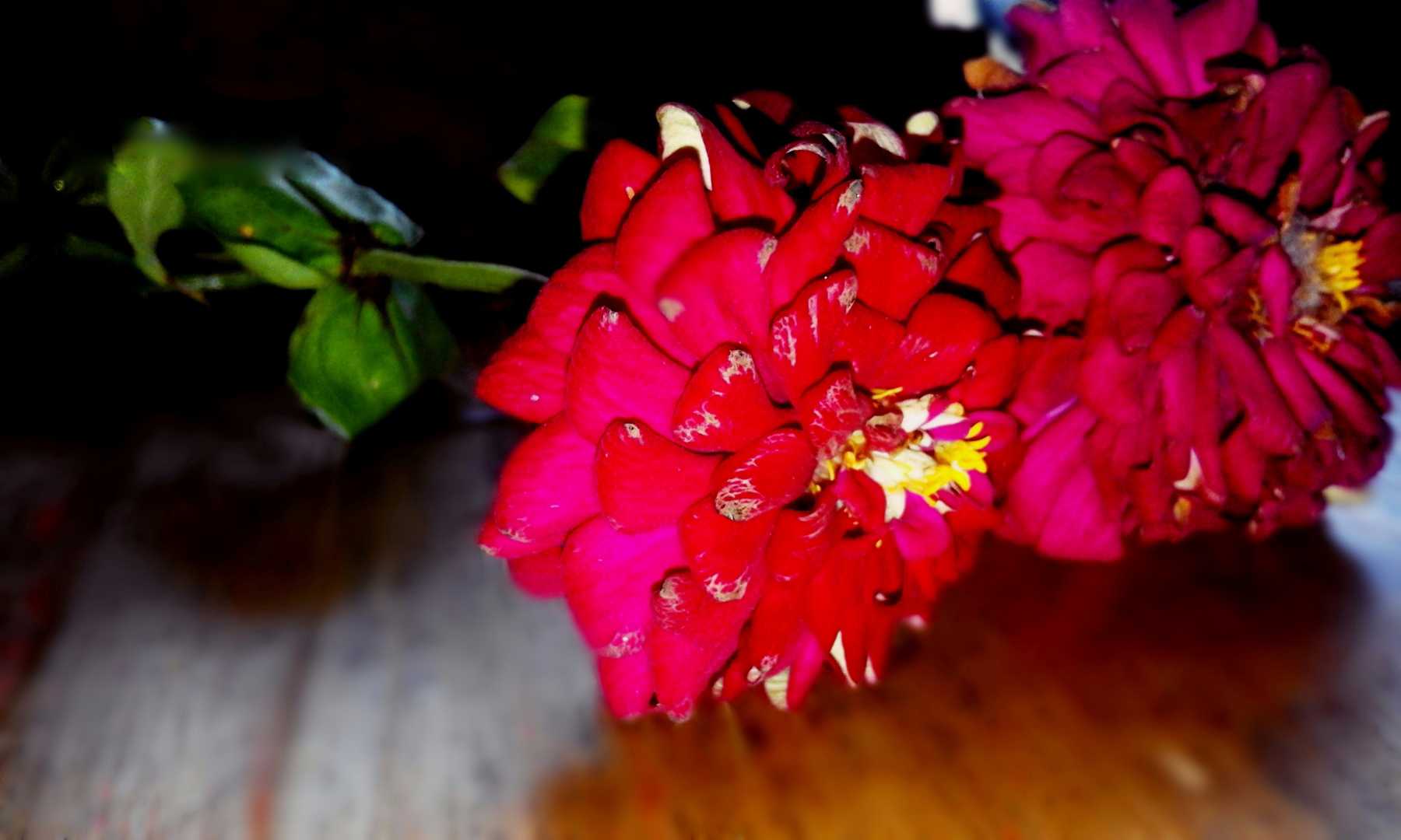 Diamond Flower