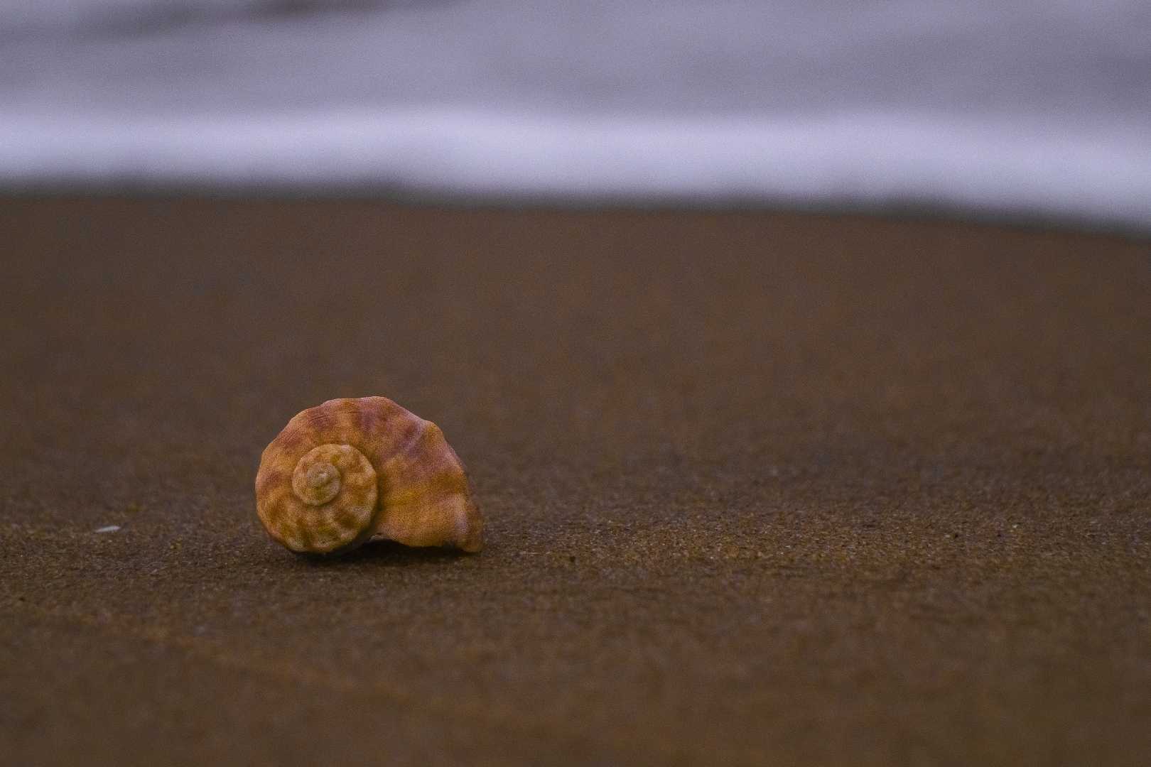 This is how we met at the coast of the Baby of Bengal 