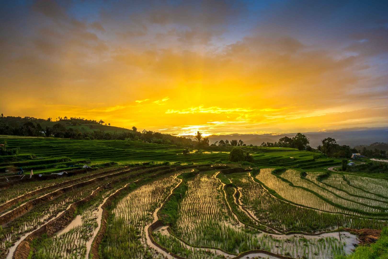 terasering sikabukabu