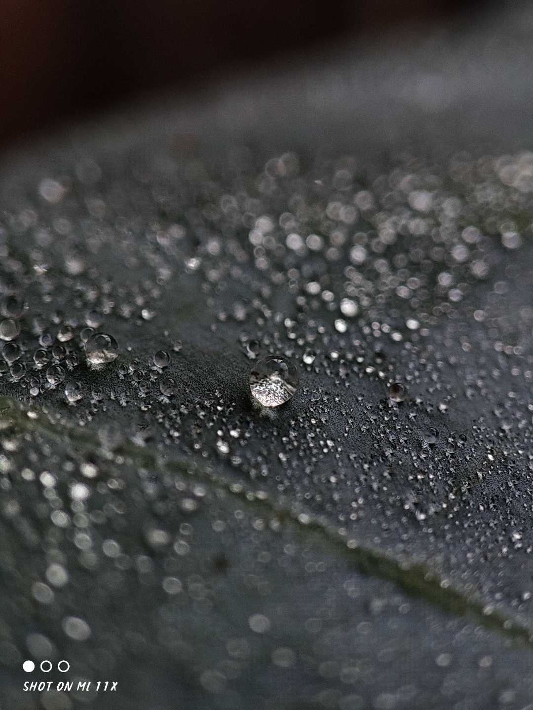 clicking macros just for fun 