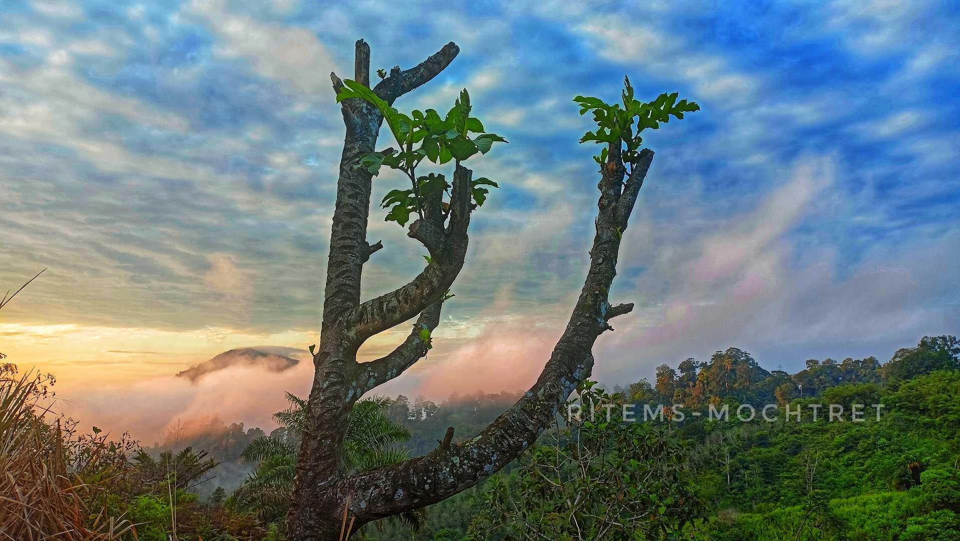 masih sunrise #2