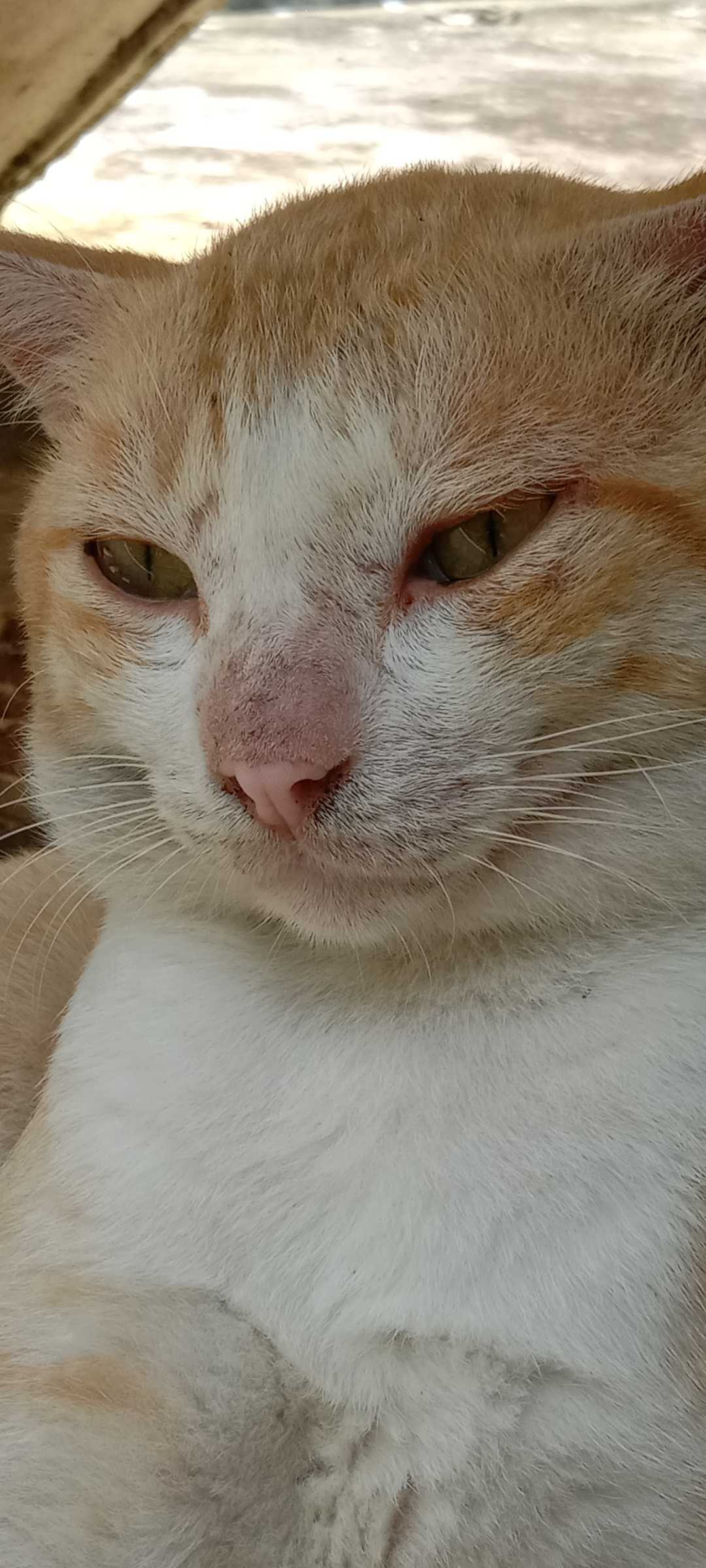 😅