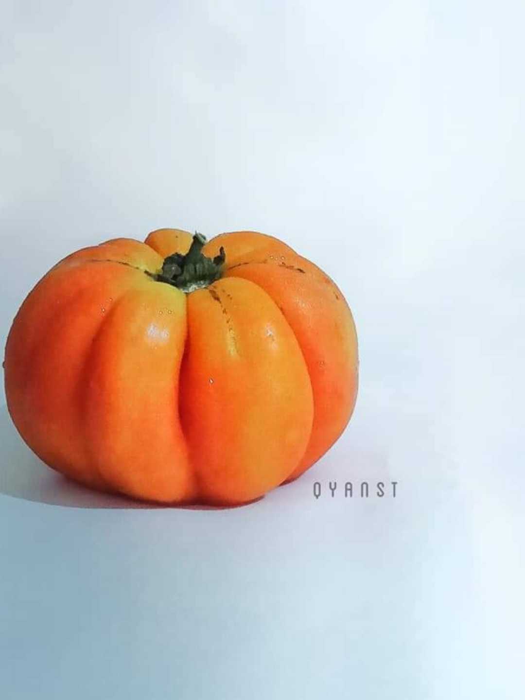 Tomat