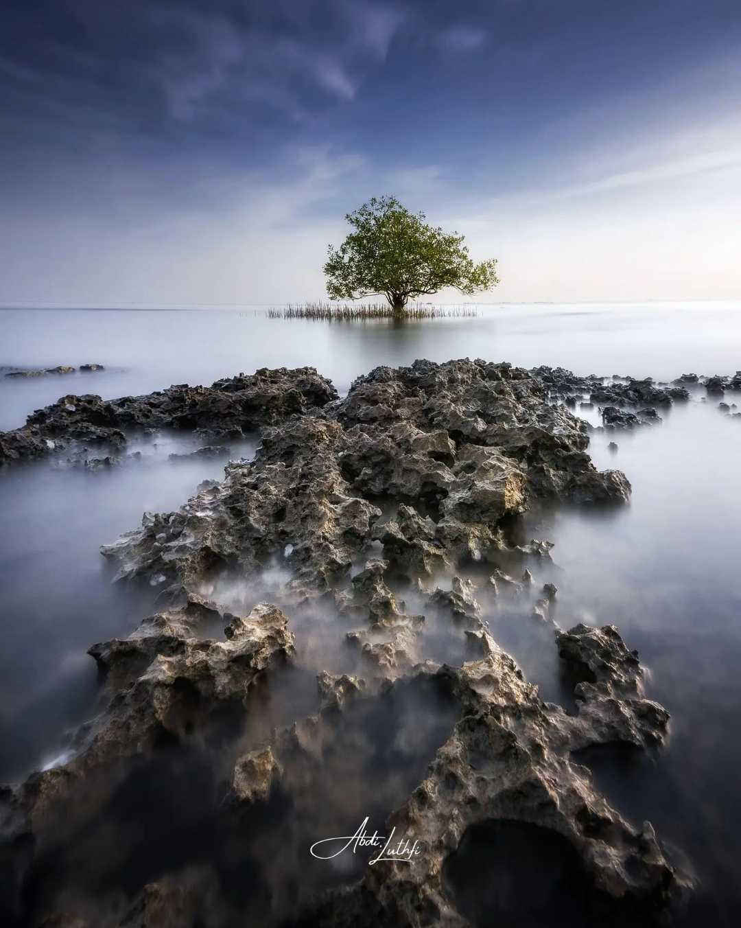 Lonely Tree at Tanjung Kemukem