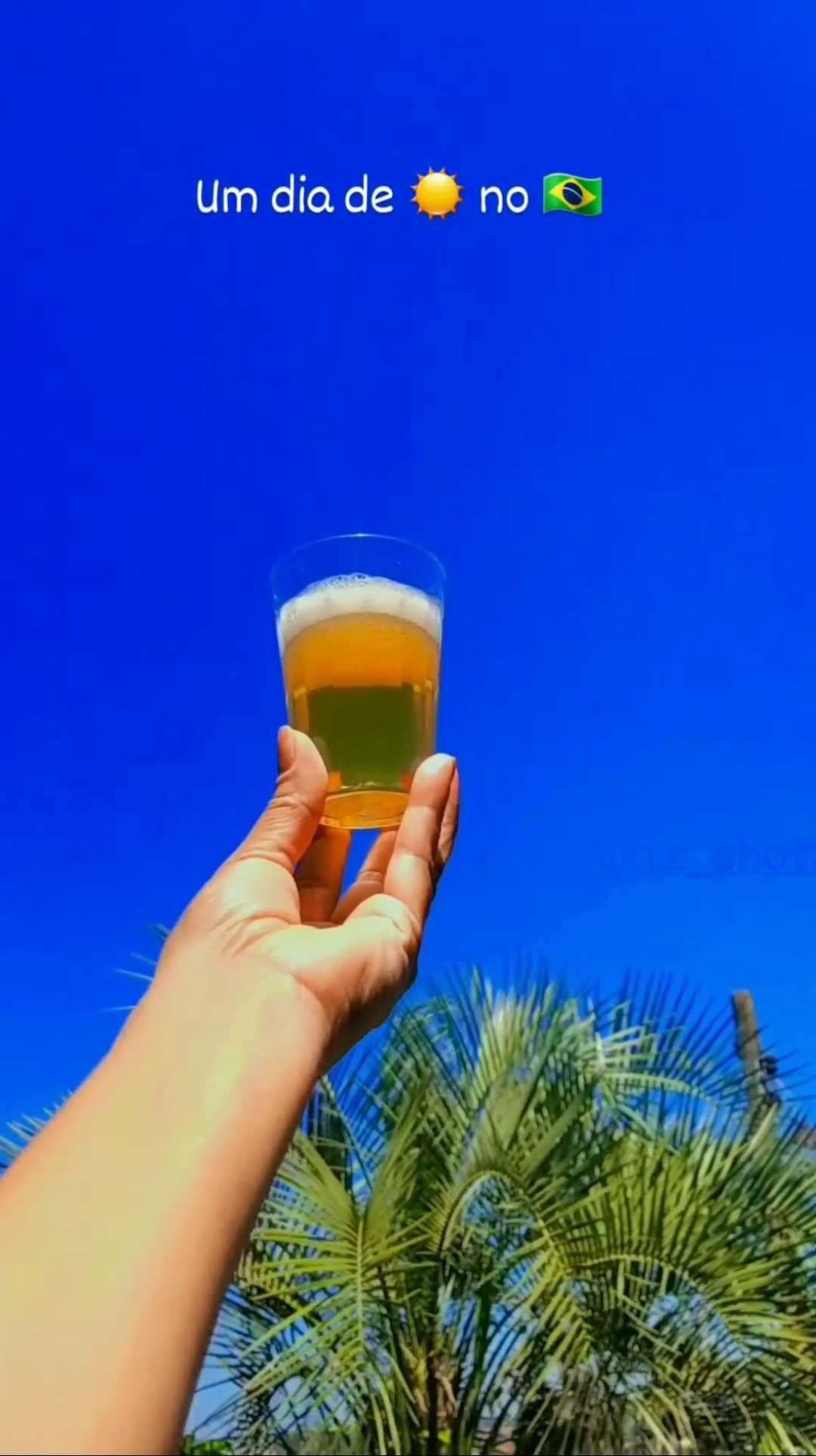 Brasil 
