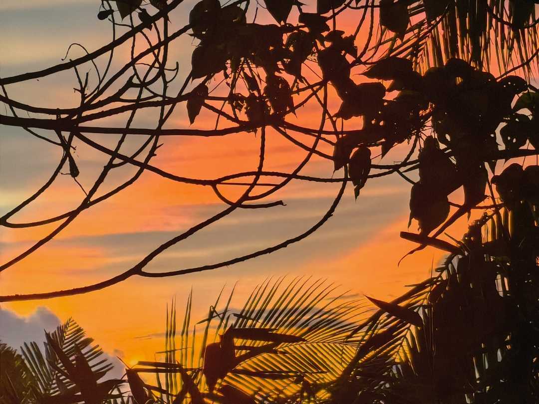 sunrise