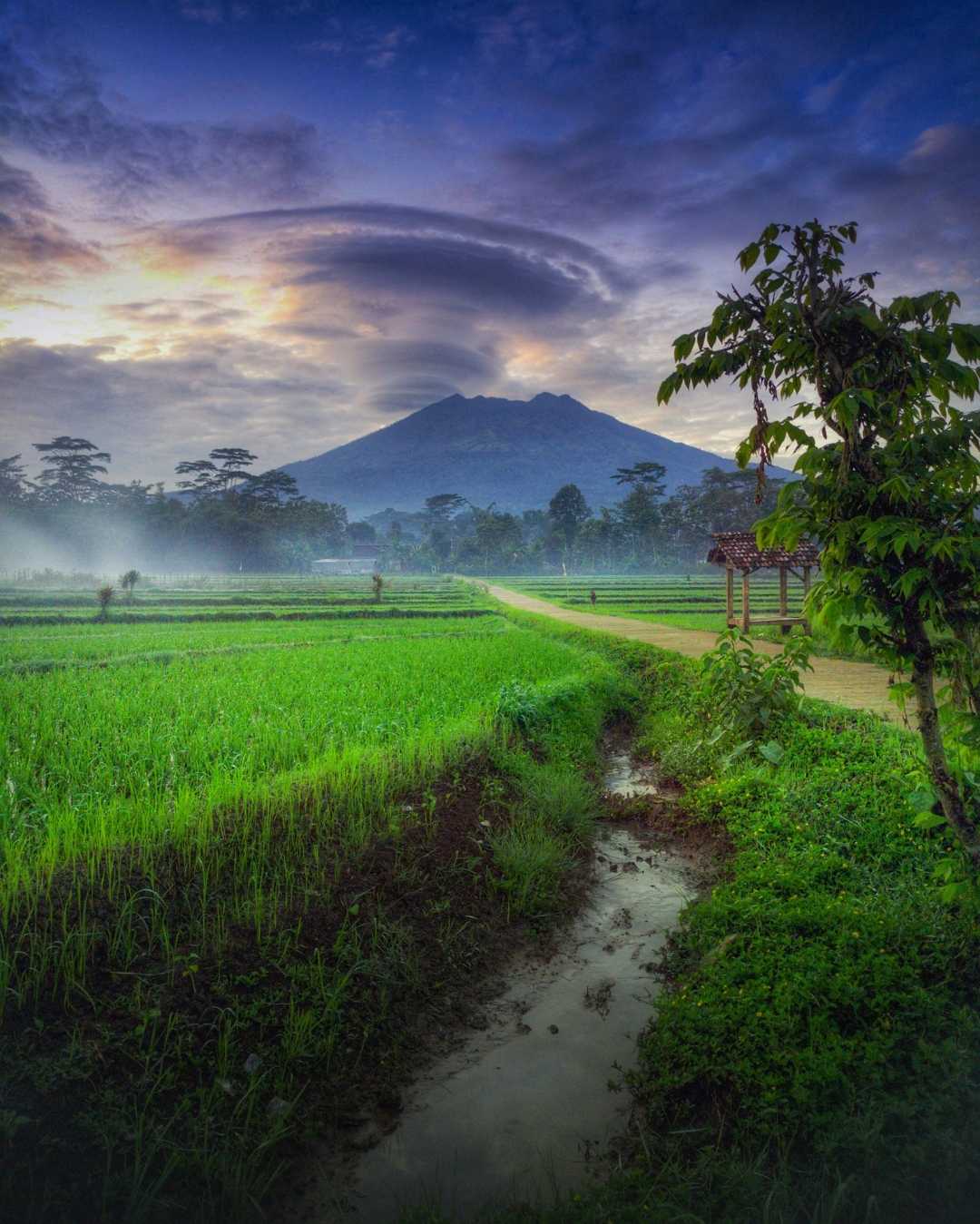 Mount Lawu & Lenticular Clouds