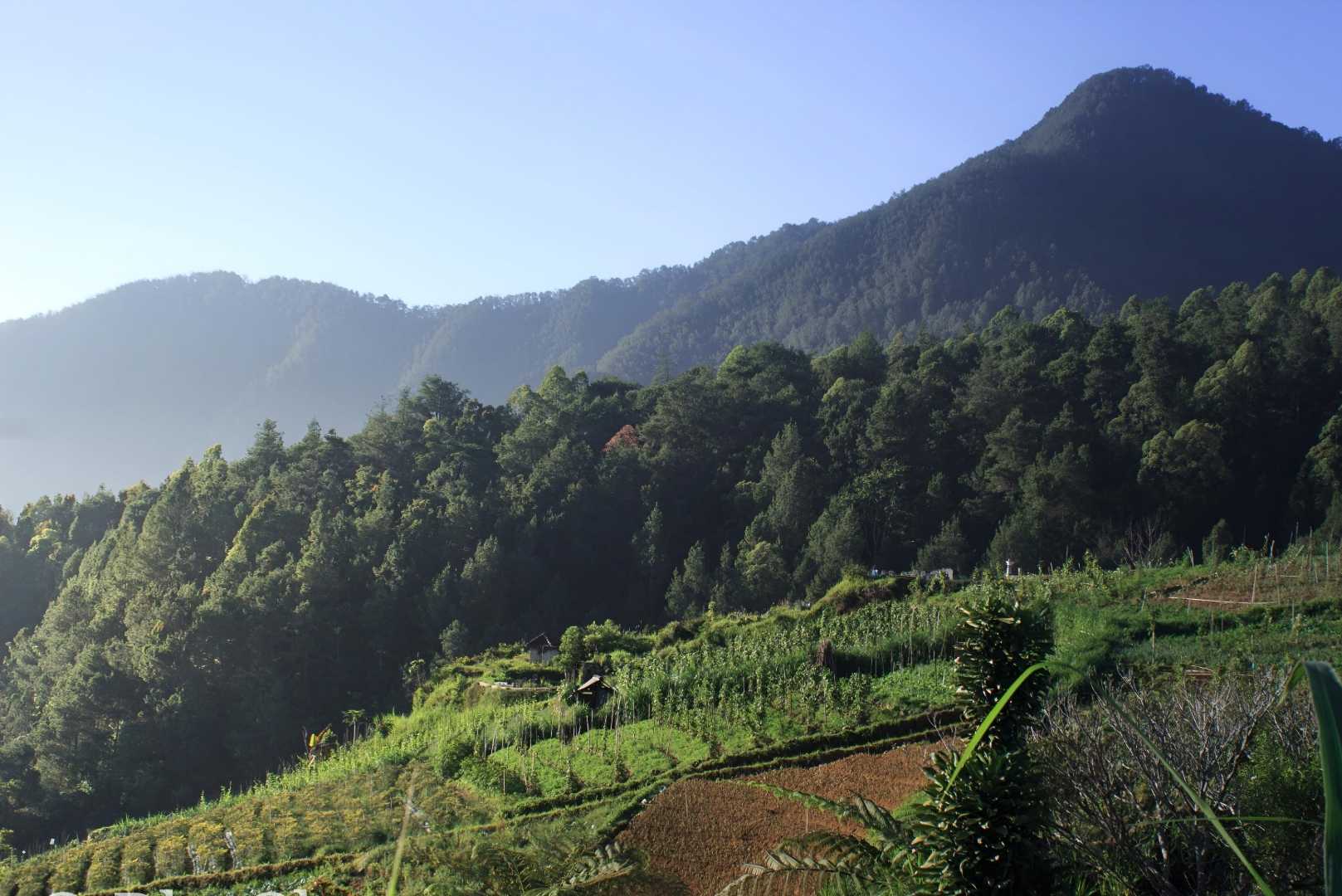 Wisata Wonomulyo